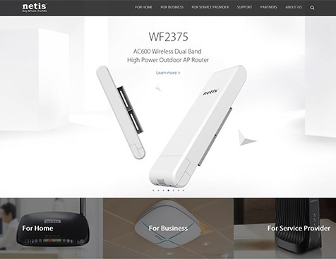 Netis Systems Co., Ltd. 網(wǎng)站建設(shè)項目